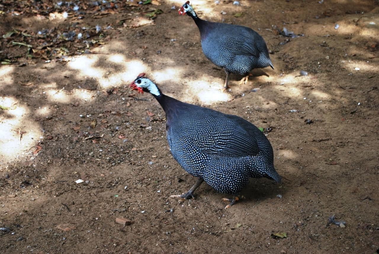 Quinta Dos Doges